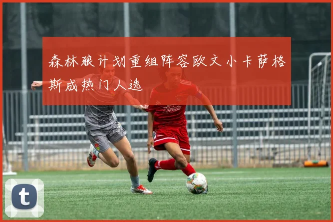 森林狼计划重组阵容欧文小卡萨格斯成热门人选
