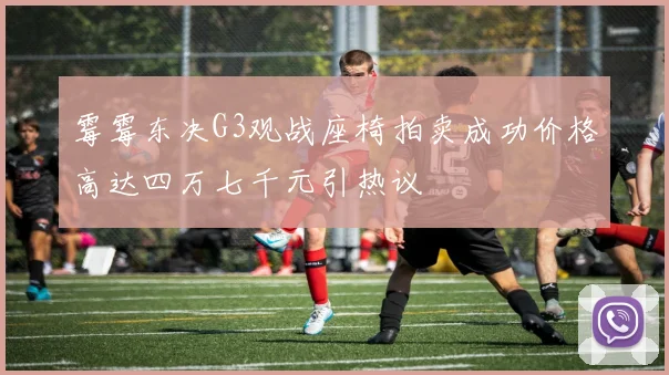 霉霉东决G3观战座椅拍卖成功价格高达四万七千元引热议