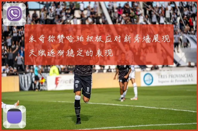 米奇称赞哈珀积极应对新秀墙展现天赋逐渐稳定的表现