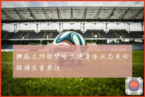 挪威主帅称赞哈兰德身体状态良好强调其重要性